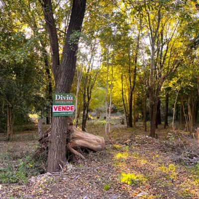 Venta de 2 lotes- a 5 minutos del Centro. B° Las Barrancas. Calamuchita (Cód. 2155)