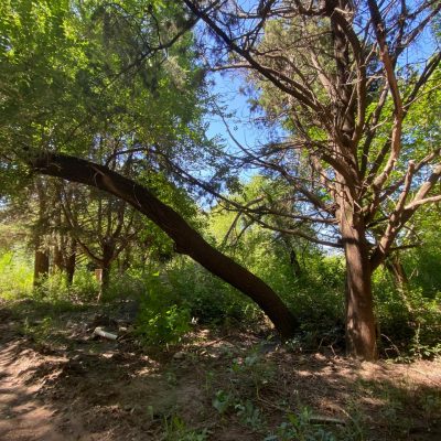Terreno en venta a 200 mts. del Arroyo – B° La Hungría, Santa Rosa de Calamuchita – cód 2130